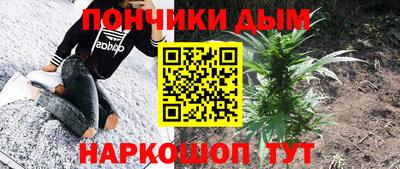 прущие крисы Гай