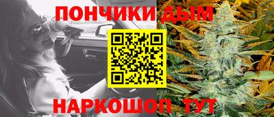 PSILOCYBIN Гатчина