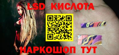 PSILOCYBIN Гатчина