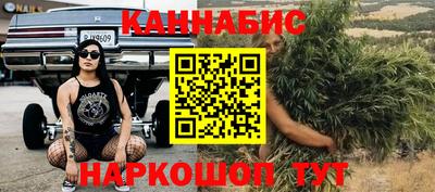 прущие крисы Гай