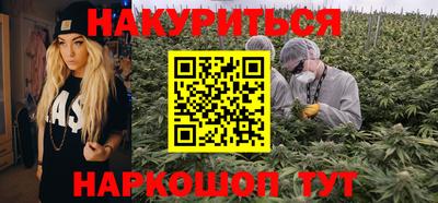 PSILOCYBIN Гатчина